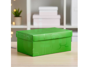 Caixa Organizadora Mini/Sapato Verde